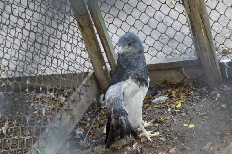 Колумбия в январе 2014