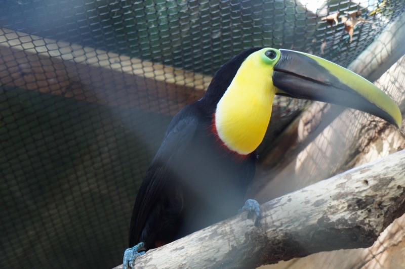 Колумбия в январе 2014