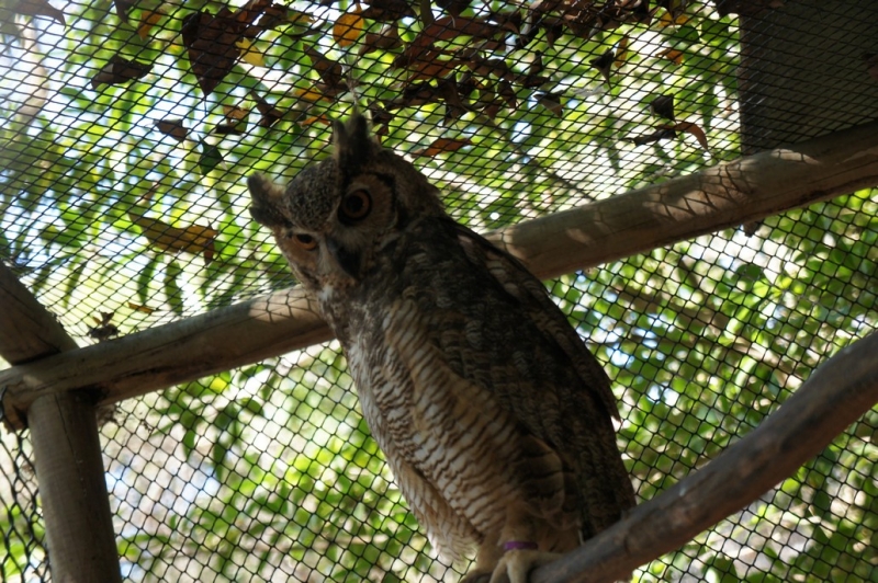 Колумбия в январе 2014