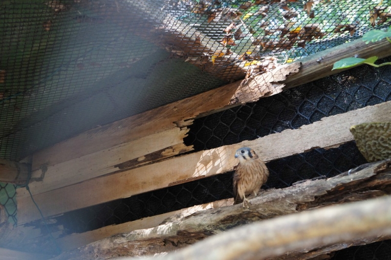 Колумбия в январе 2014