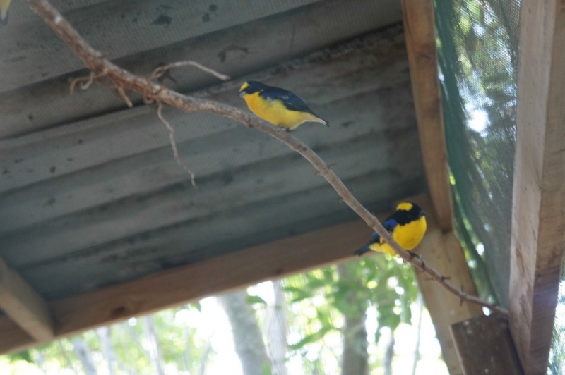 Колумбия в январе 2014