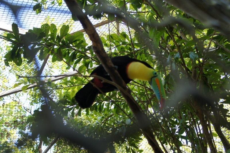 Колумбия в январе 2014