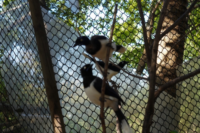 Колумбия в январе 2014