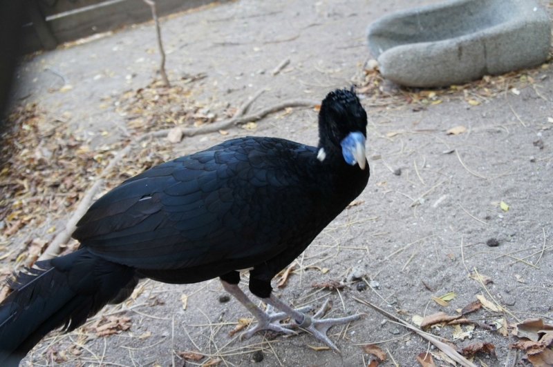 Колумбия в январе 2014