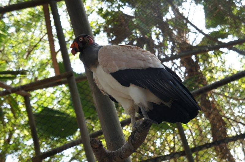 Колумбия в январе 2014