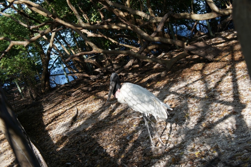 Колумбия в январе 2014