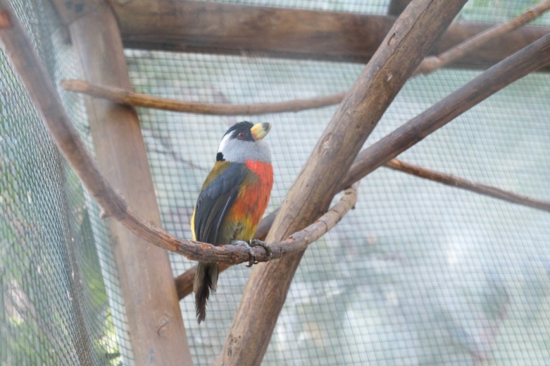 Колумбия в январе 2014