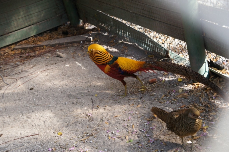 Колумбия в январе 2014