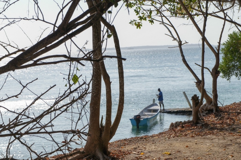 Колумбия в январе 2014