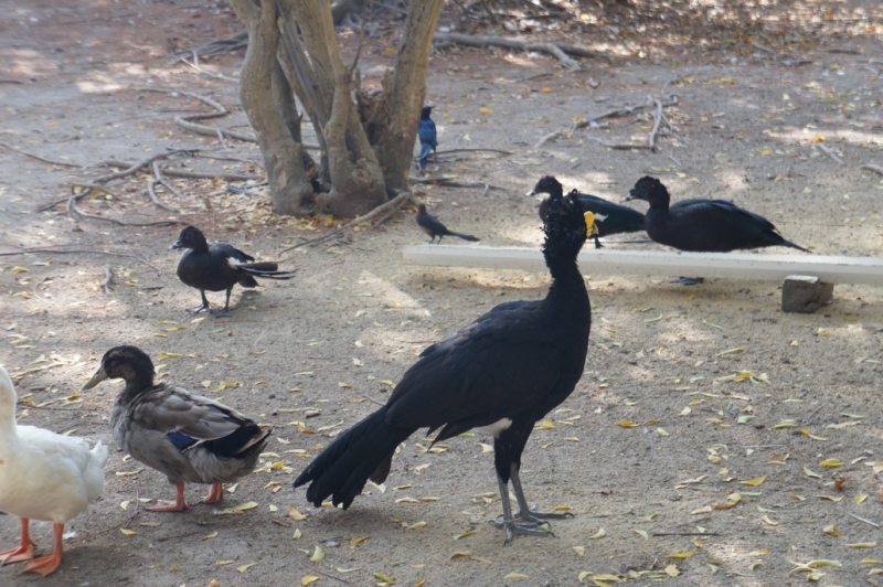 Колумбия в январе 2014