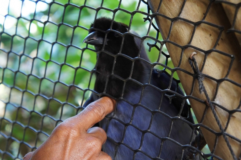 Колумбия в январе 2014