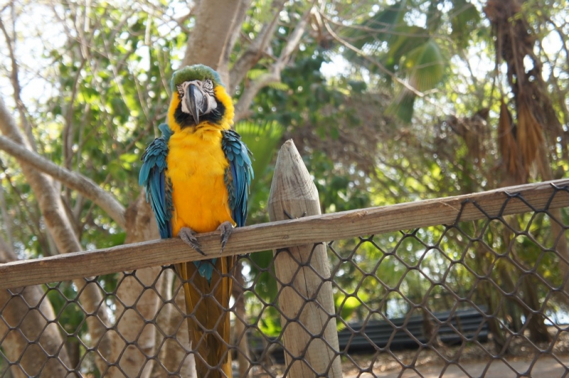 Колумбия в январе 2014