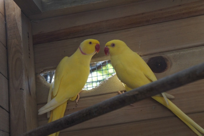 Колумбия в январе 2014