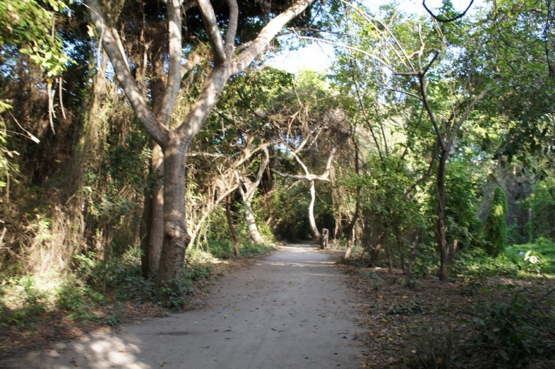 Колумбия в январе 2014