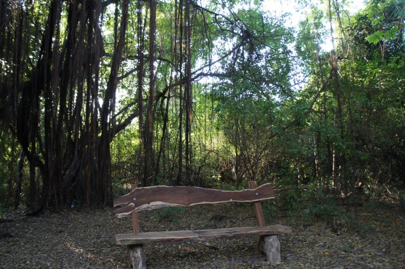 Колумбия в январе 2014