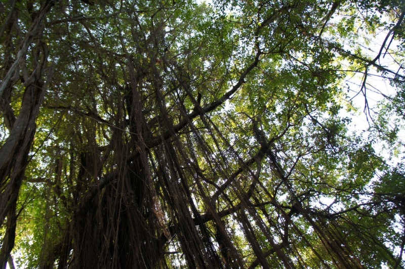 Колумбия в январе 2014