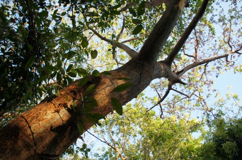 Колумбия в январе 2014