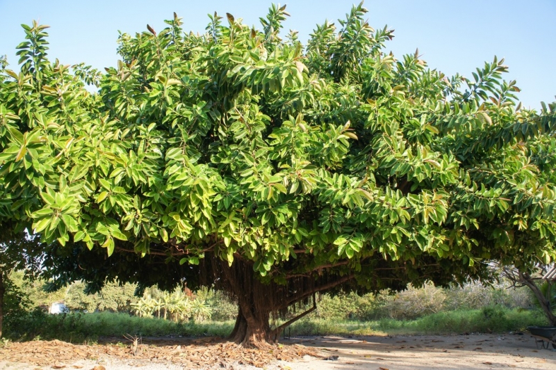 Колумбия в январе 2014