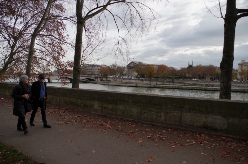 14 мгновений осеннего Парижа (Ноябрь 2014)