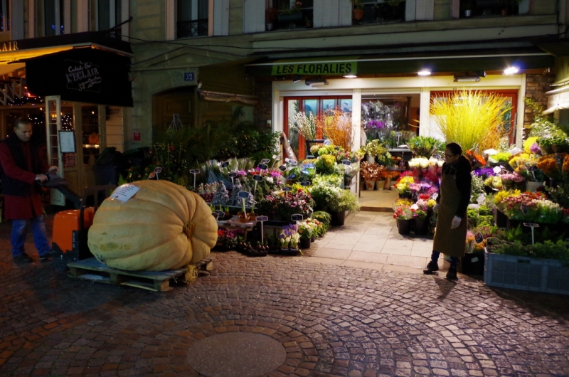 14 мгновений осеннего Парижа (Ноябрь 2014)