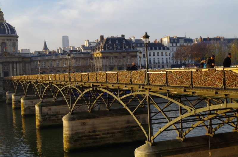 14 мгновений осеннего Парижа (Ноябрь 2014)