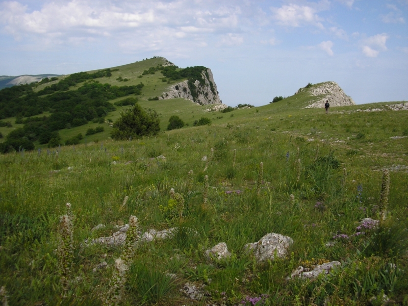 Крым необыкновенный.2013/ Часть 2. Прогулки по Форосскому Канту