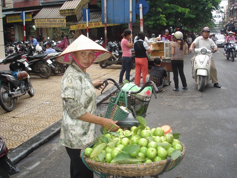 Вьетнам Северный и Центральный в августе 2011 года