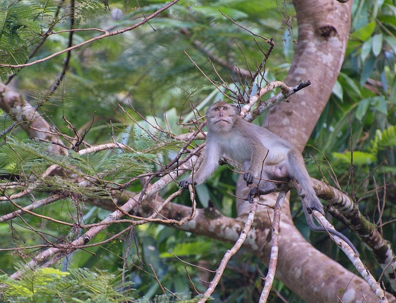 Фотоохота, зоопарки и просто животинки из путешествий - 3
