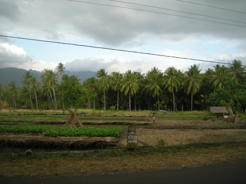 Бали – Гили – Флорес – Бали в июне-июле 2014
