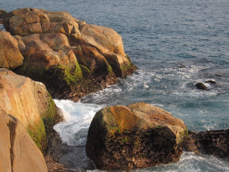 Индия (юг: Керала, Тамил наду)