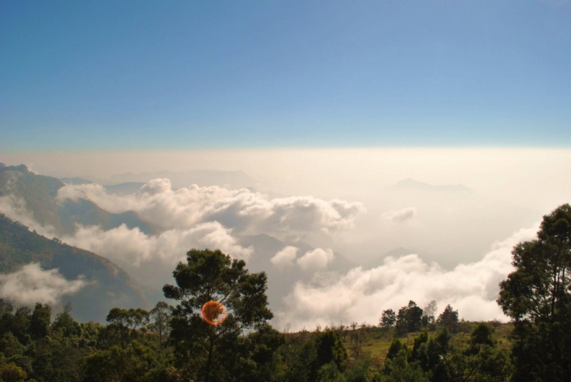 Керала-Тамилнад. Январь 2014. Фото