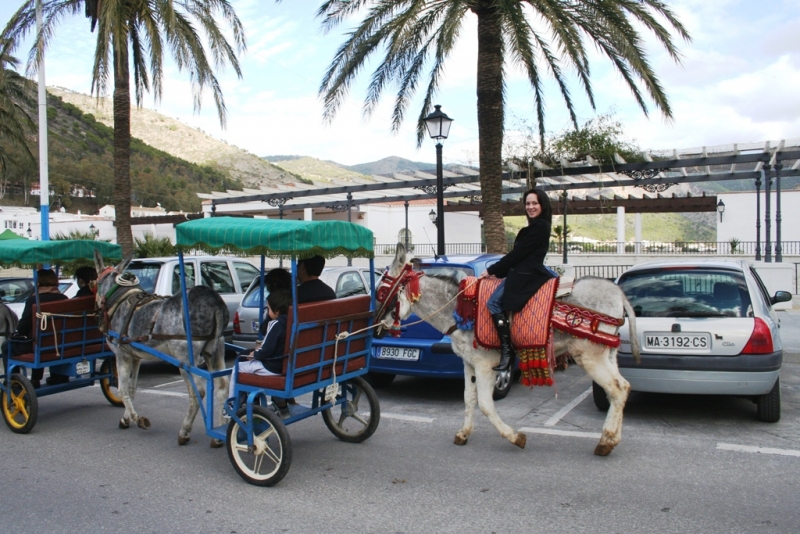 Автопутешествие «Новогодние каникулы на краю «Старого Света»