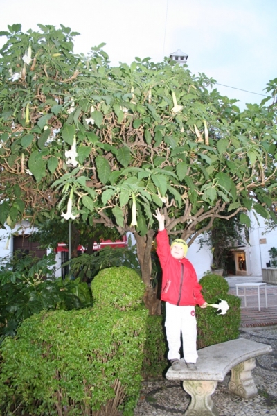 Автопутешествие «Новогодние каникулы на краю «Старого Света»