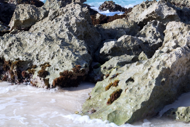 Перворазники на Карибах: круиз на P&O Ventura