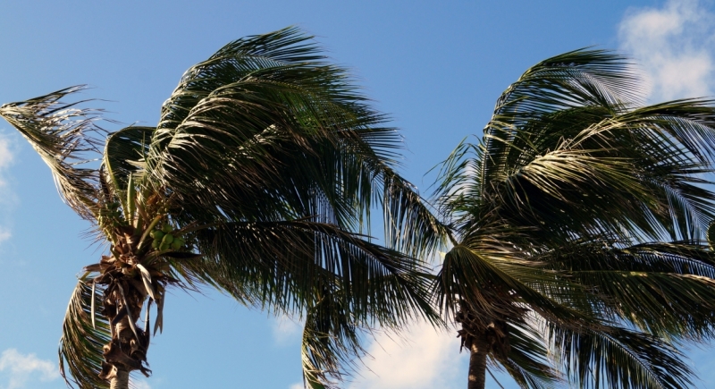 Перворазники на Карибах: круиз на P&O Ventura