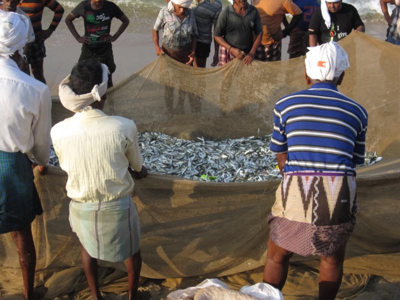 Индия (юг: Керала, Тамил наду)