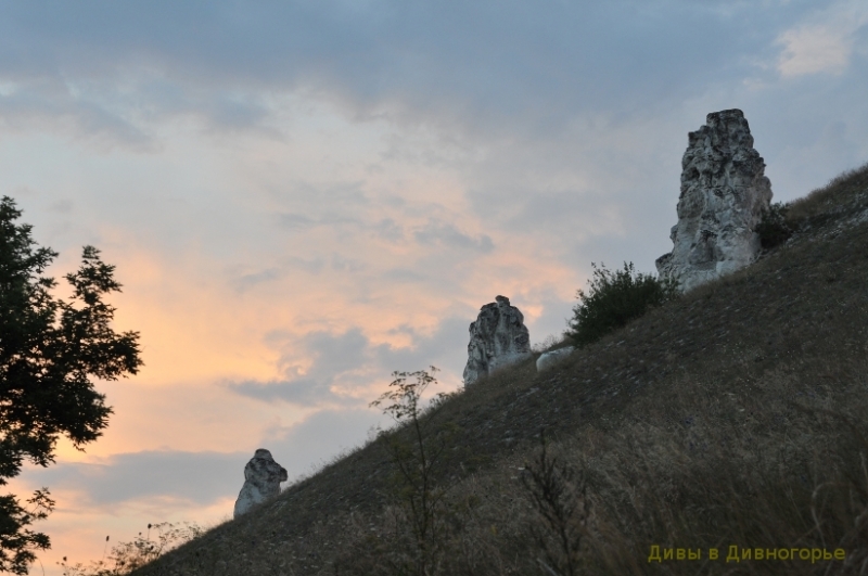 Белые скалы на чёрной земле (Воронежская обл)