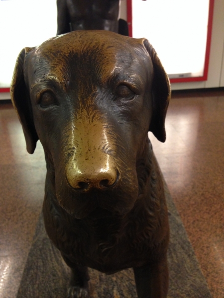 Из Питера в Черногорию и обратно