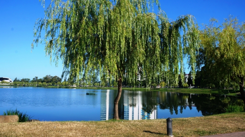 Баку-Тбилиси-Ереван и чуть-чуть моря в Батуми. Две недели, июнь 2014.