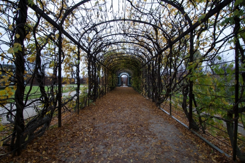 Из Вены в Чехию: Чешский Крумлов, Прага, Чешский рай без машины + фото