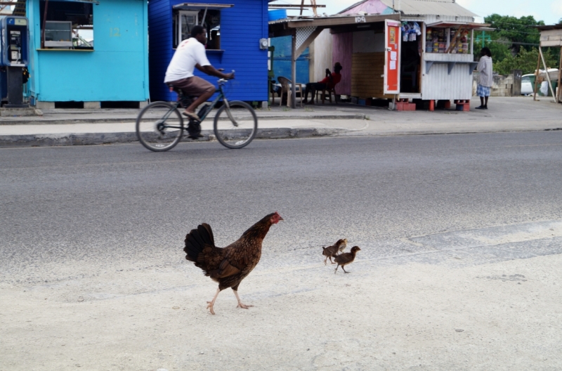 Перворазники на Карибах: круиз на P&O Ventura