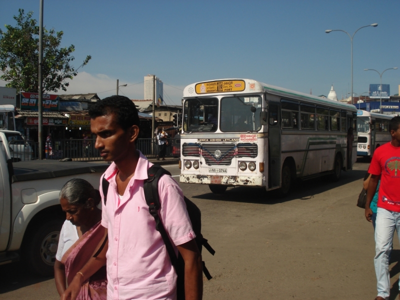 Шри Ланка "дикарями" в ноябре 2014 года.