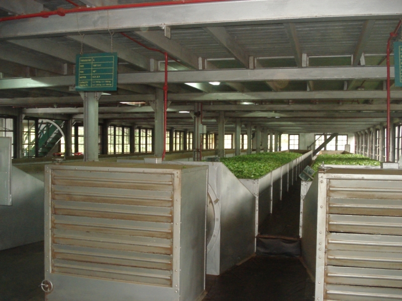 Шри Ланка "дикарями" в ноябре 2014 года.