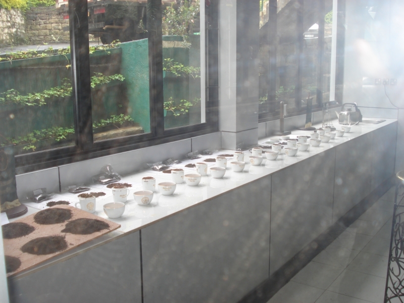 Шри Ланка "дикарями" в ноябре 2014 года.