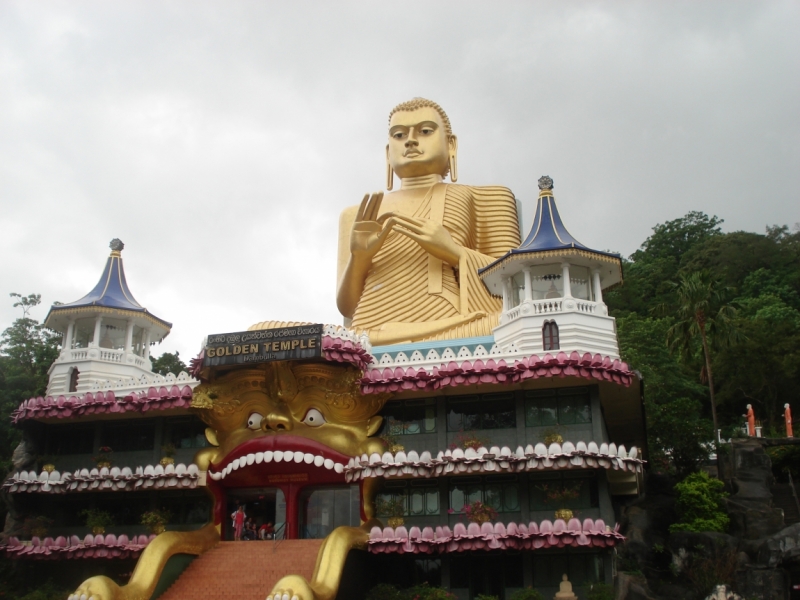 Шри Ланка "дикарями" в ноябре 2014 года.