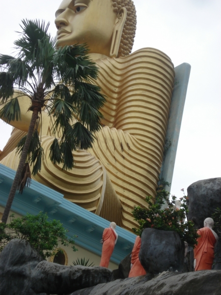 Шри Ланка "дикарями" в ноябре 2014 года.