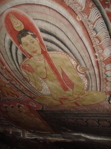 Шри Ланка "дикарями" в ноябре 2014 года.