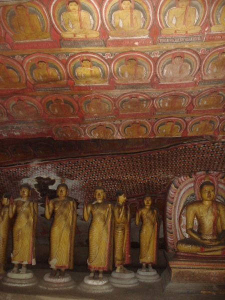 Шри Ланка "дикарями" в ноябре 2014 года.