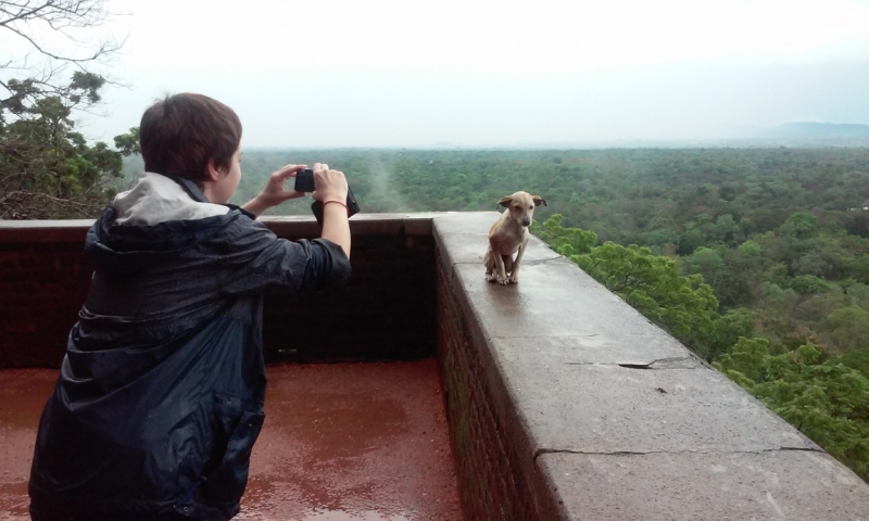 Шри Ланка "дикарями" в ноябре 2014 года.