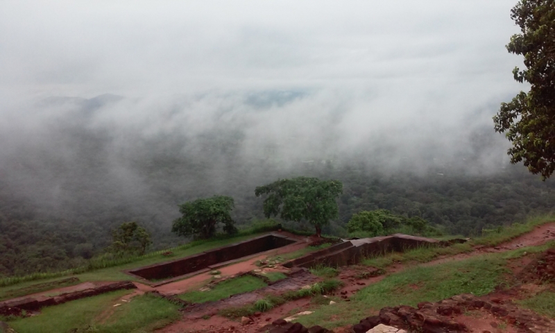 Шри Ланка "дикарями" в ноябре 2014 года.
